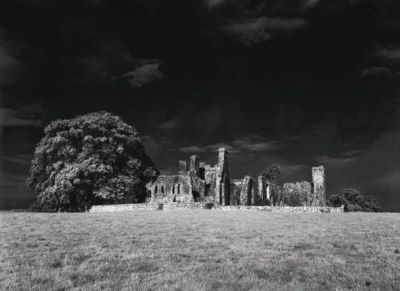 Bective Abbey